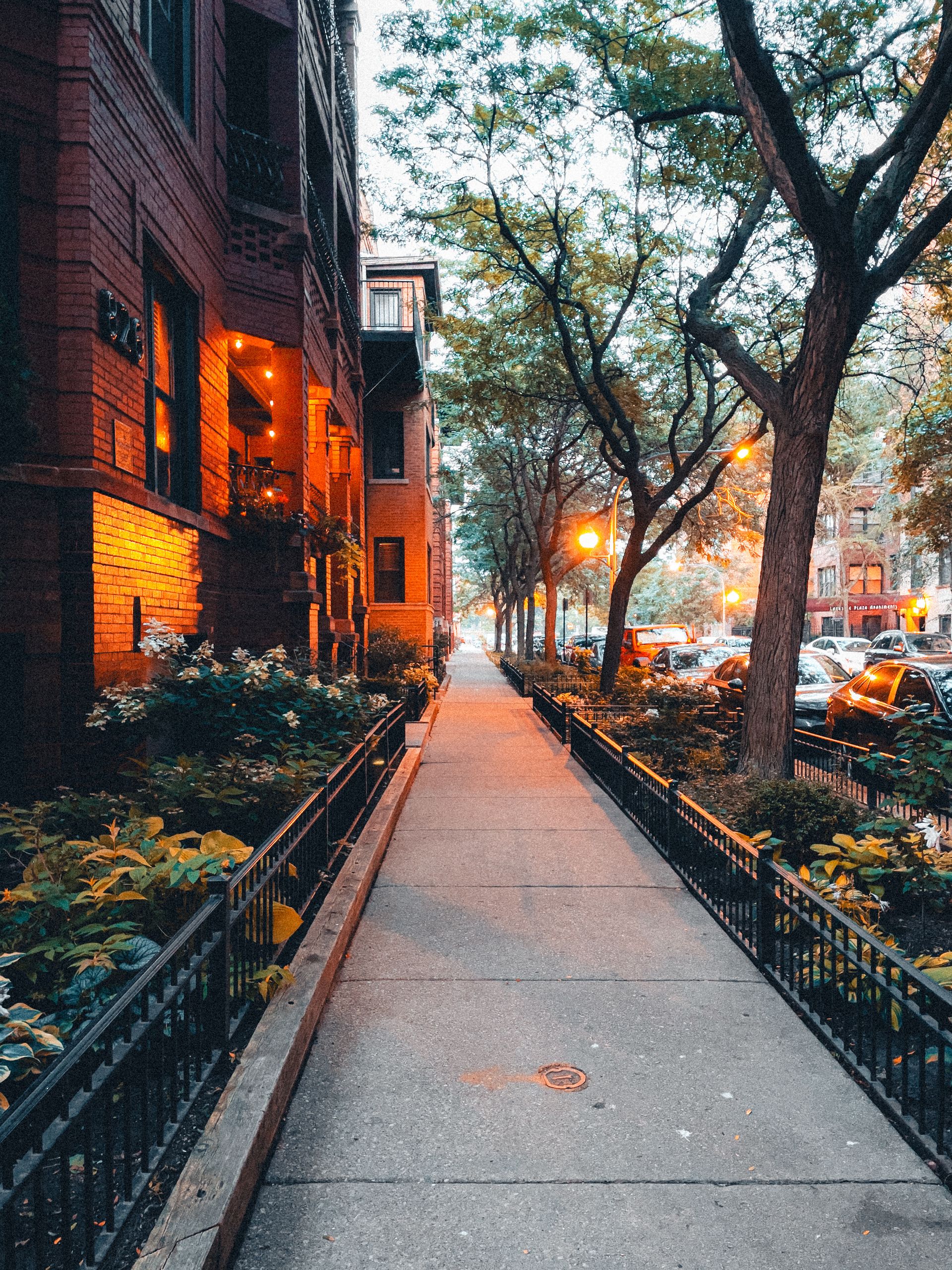 An empty tree-lined sidewalk past brick buildings at dusk, streetlamps glowing